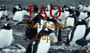 More About Polar Camel Cups