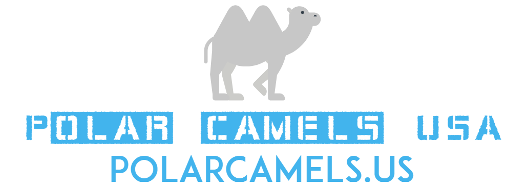 Polar Camel Short Tumbler Thermos - Letters Off BOTTOMS UP! Design –  Something Greek